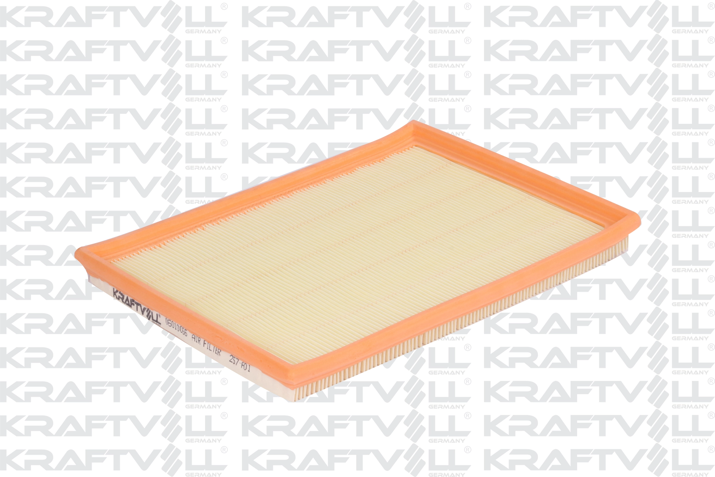 Air Filter (06010066)