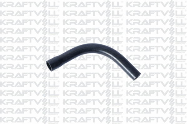 Hose, crankcase ventilation (10031551)