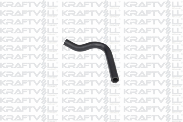 Radiator Hose (10032360)