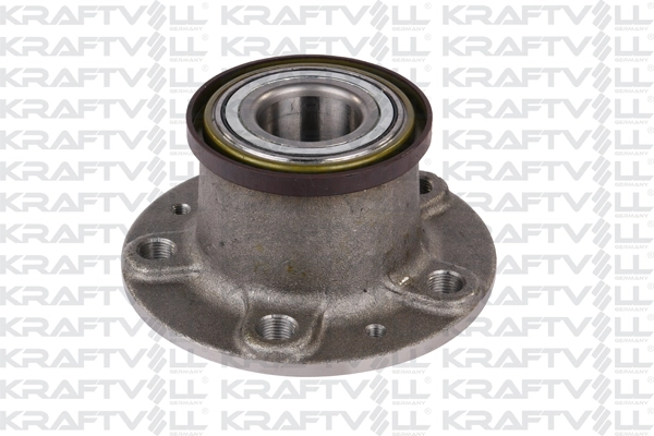 Wheel Hub (14030008)