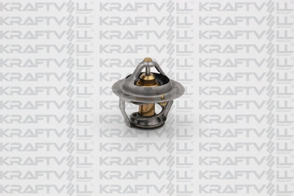 Thermostat, coolant (08110073)