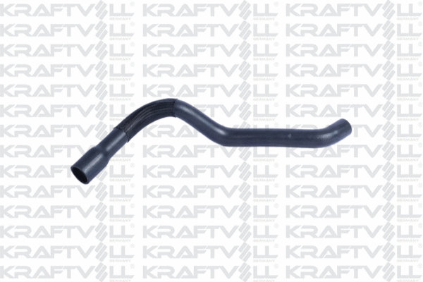 Radiator Hose (10032438)