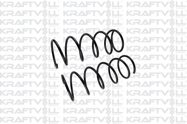 Suspension Spring (15020289)