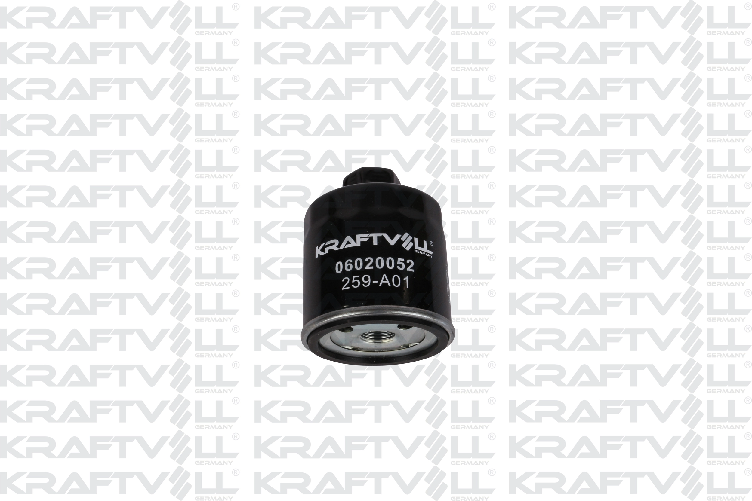 Oil Filter (06020052)