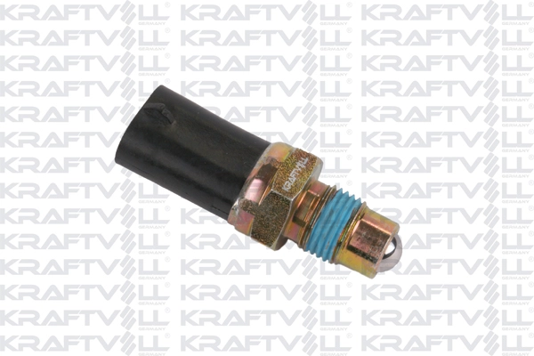 Switch, reverse light (05080018)