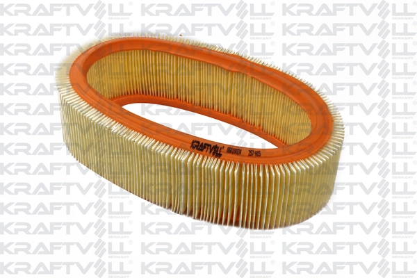Air Filter (06010024)