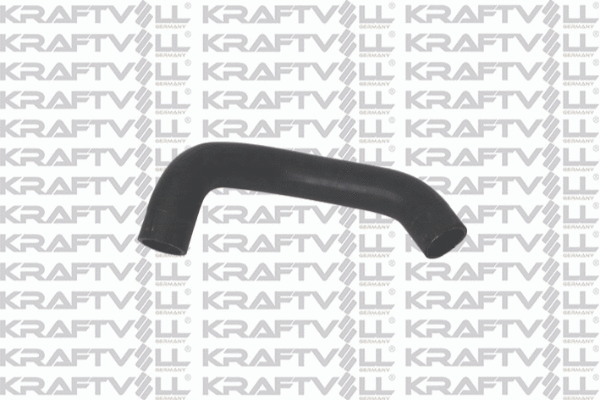 Radiator Hose (10031152)