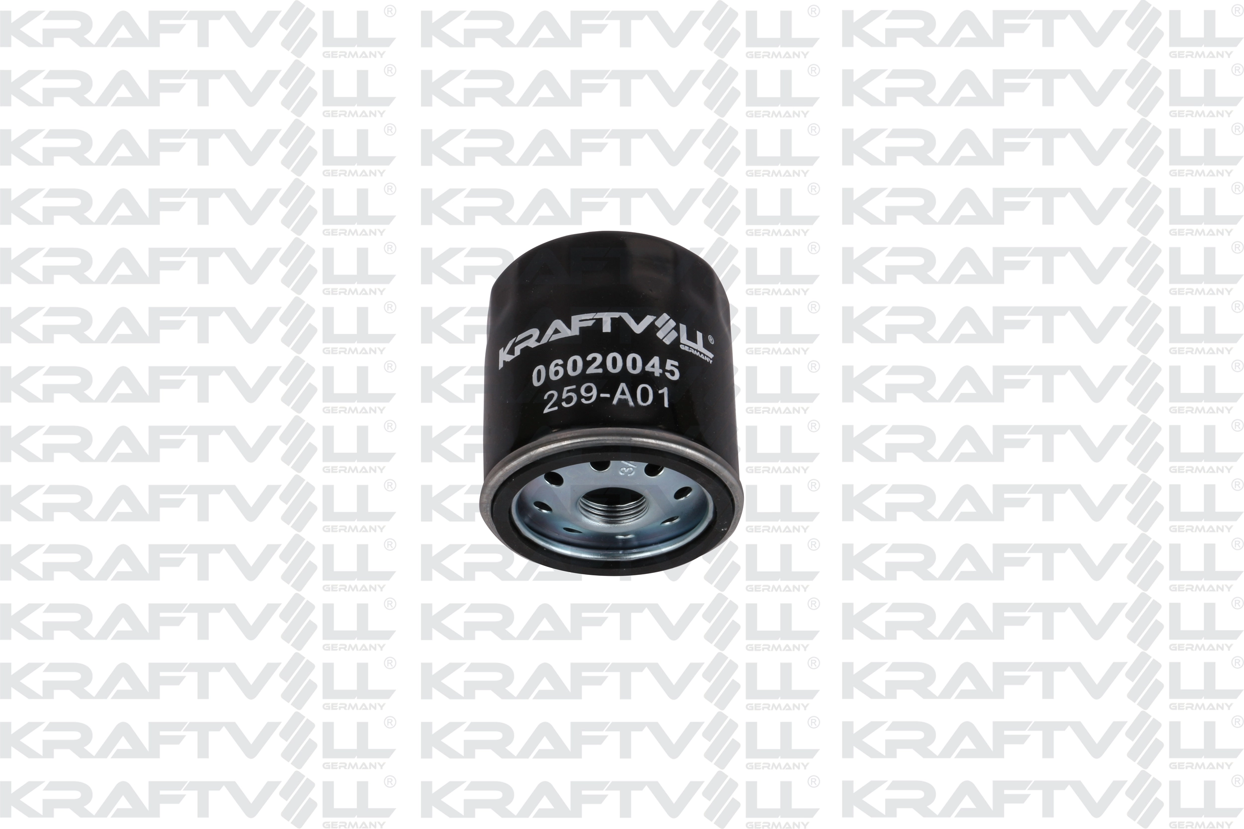 Oil Filter (06020045)