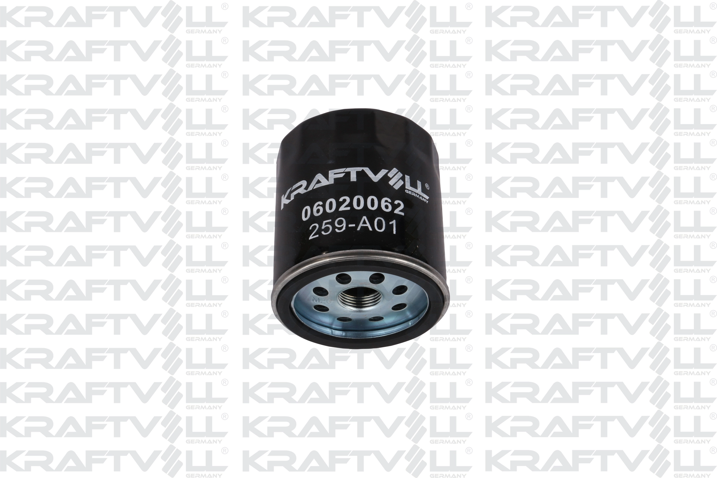 Oil Filter (06020062)