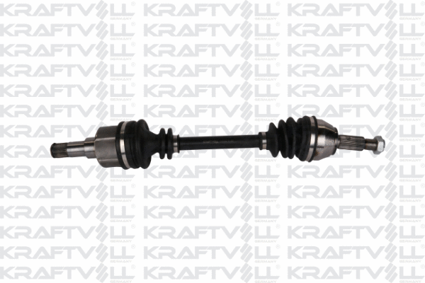 Drive Shaft (01010150)