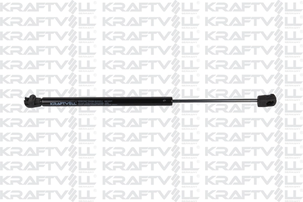 Gas Spring, rear window (09010377)