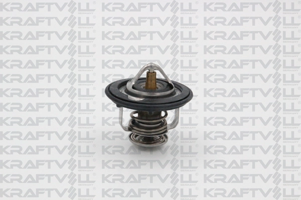 Thermostat, coolant (08110098)