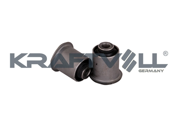 Mounting, control/trailing arm (10050044)