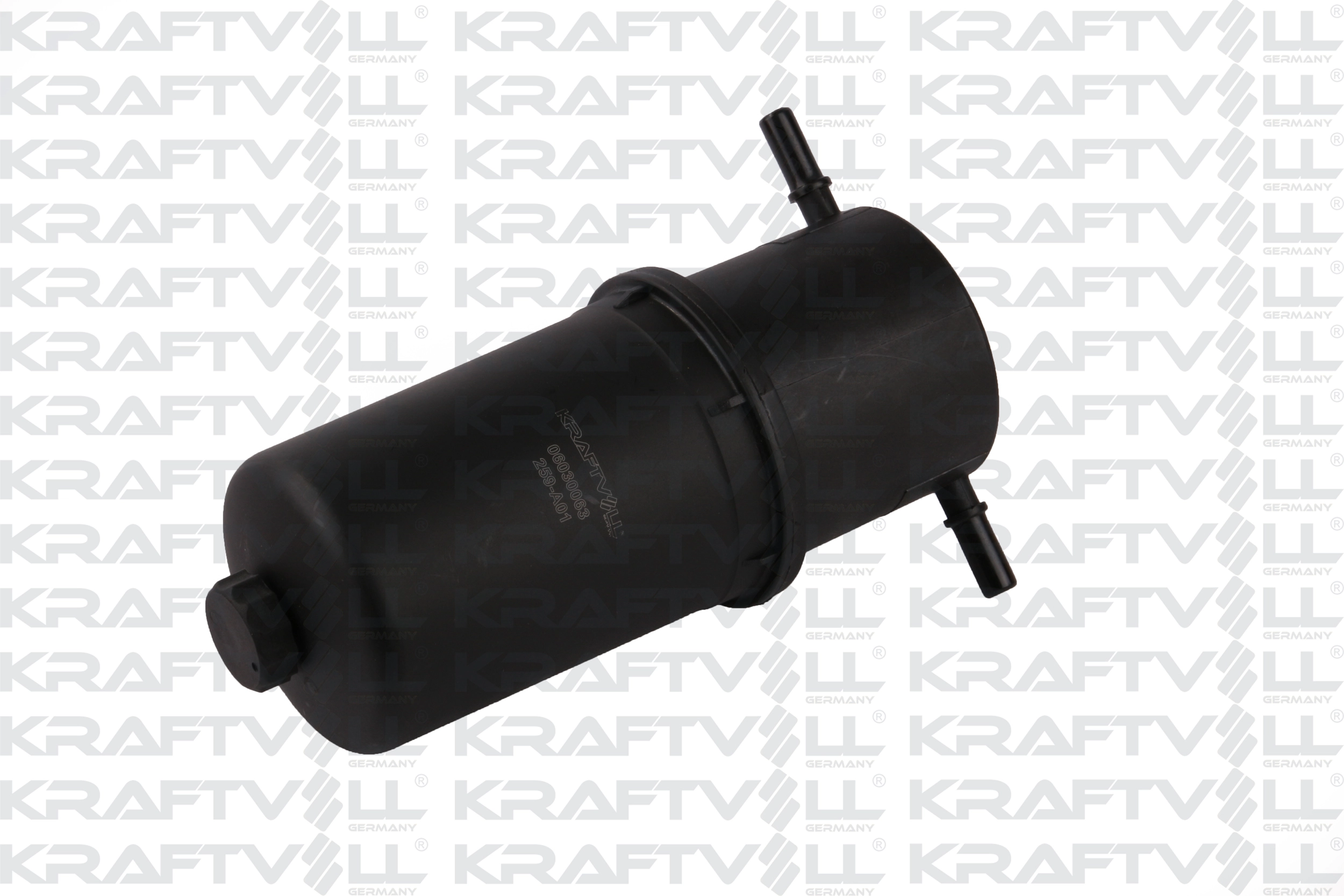 Fuel Filter (06030063)
