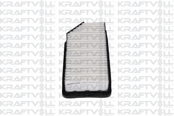 Air Filter (06010161)