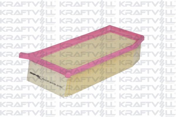 Air Filter (06010135)