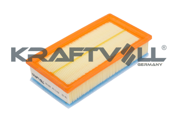 Air Filter (06010054)