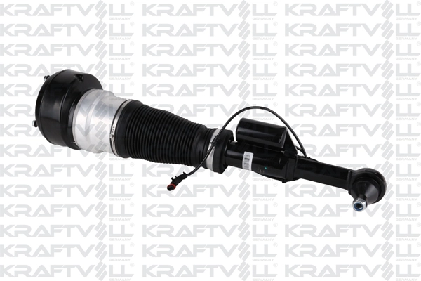Air Suspension Strut (15060041)