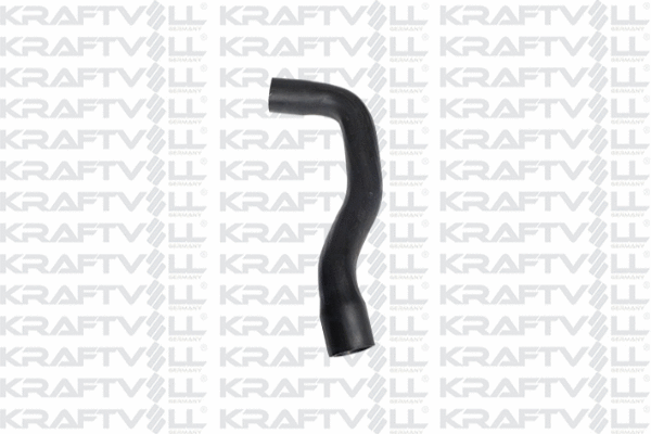 Radiator Hose (10032691)
