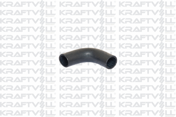 Radiator Hose (10032554)