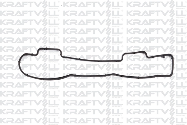 Gasket, cylinder head cover (12010154)