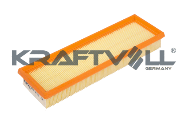 Air Filter (06010061)