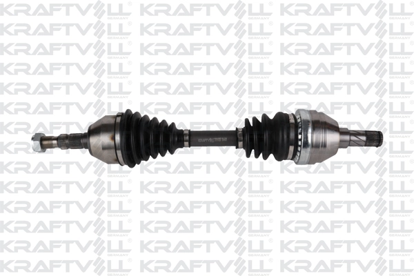 Drive Shaft (01010267)