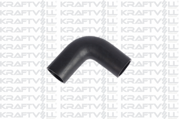 Charge Air Hose (10031731)