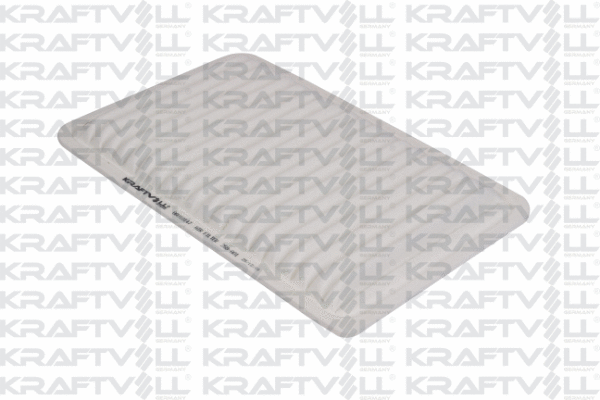 Air Filter (06010147)