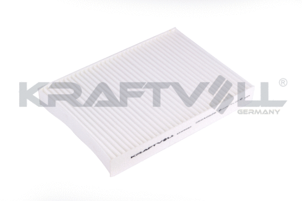 Filter, cabin air (06040025)