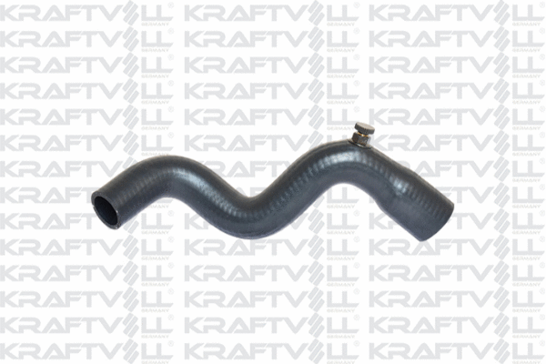Radiator Hose (10031232)