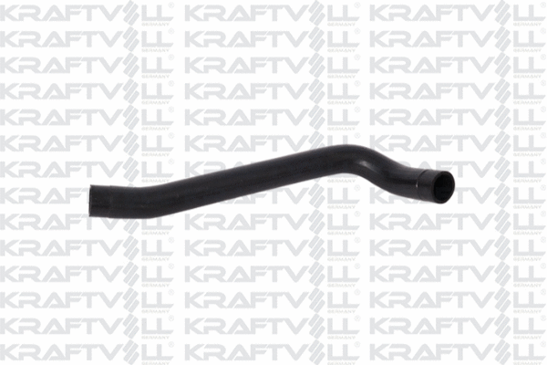 Radiator Hose (10032561)