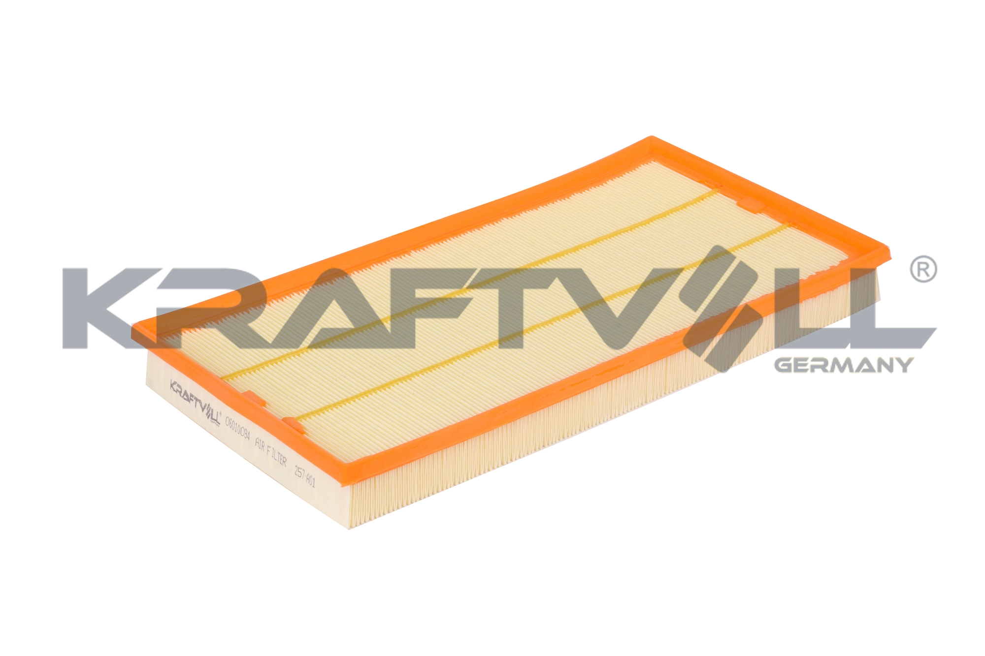 Air Filter (06010094)