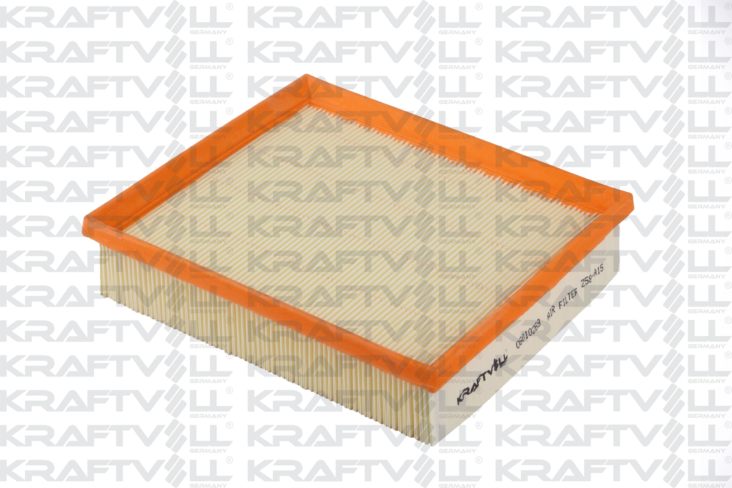 Air Filter (06010269)