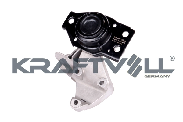 Mounting, engine (10010086)