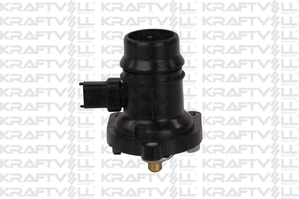 Thermostat, coolant (08100104)