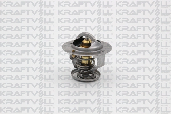 Thermostat, coolant (08110055)