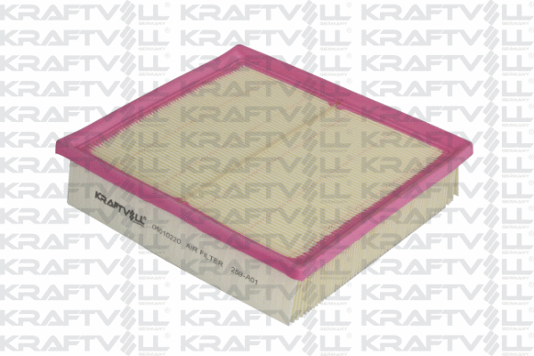 Air Filter (06010220)