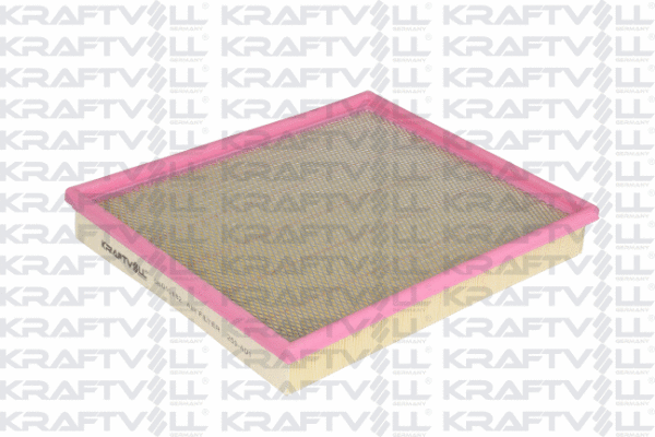 Air Filter (06010182)