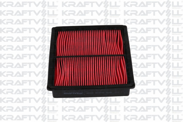Air Filter (06010239)