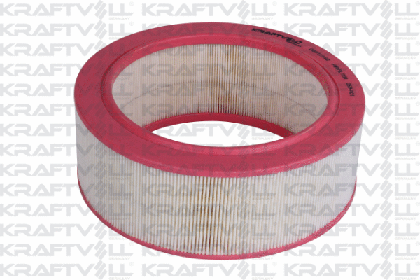 Air Filter (06010162)