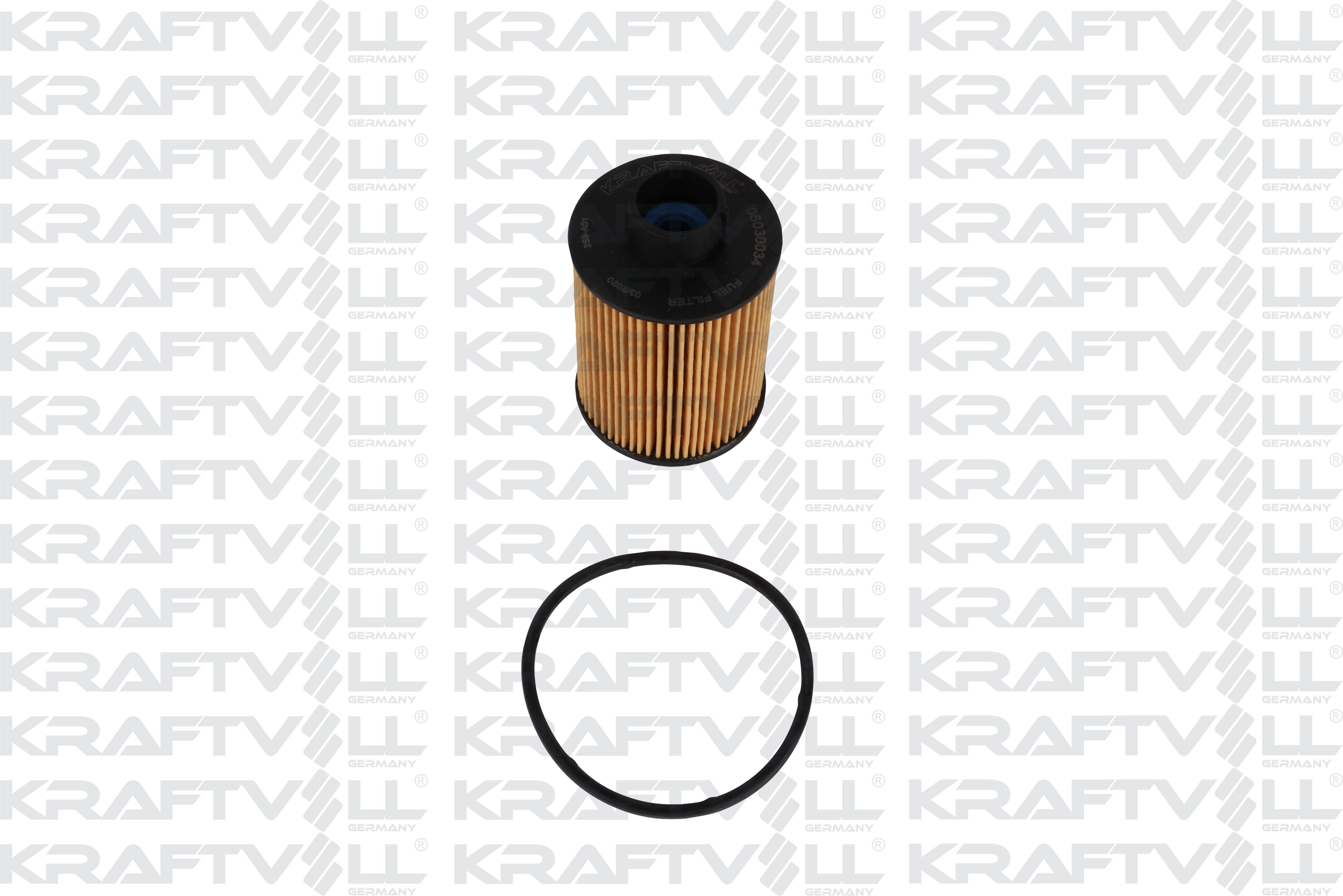 Fuel Filter (06030034)