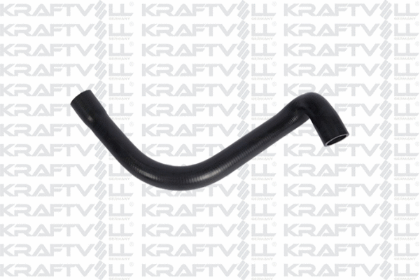 Radiator Hose (10031688)