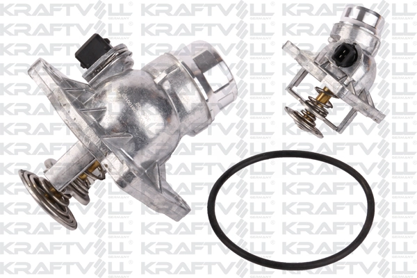 Thermostat, coolant (08100153)