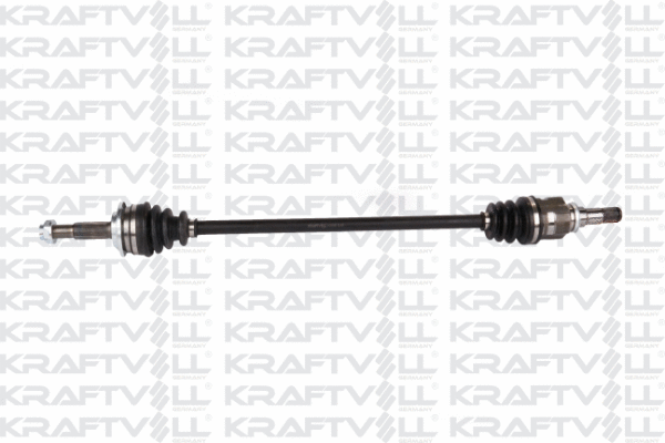 Drive Shaft (01010166)