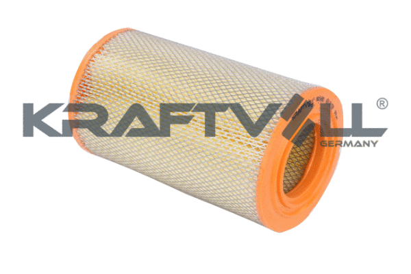 Air Filter (06010081)