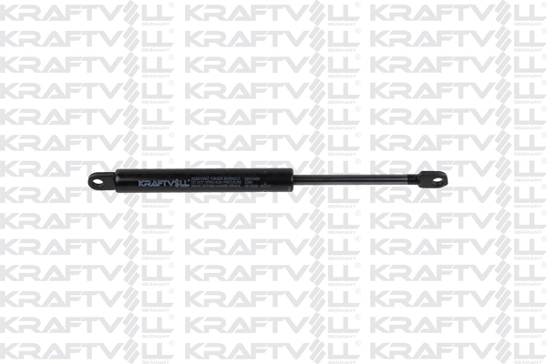 Gas Spring, bonnet (09010464)