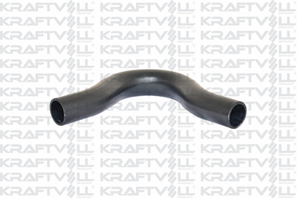 Radiator Hose (10031678)
