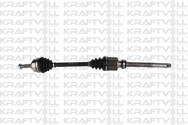 Drive Shaft (01010340)