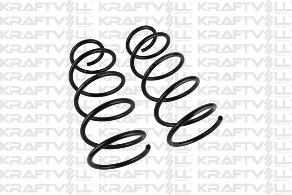 Suspension Spring (15020212)